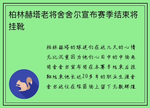 柏林赫塔老将舍舍尔宣布赛季结束将挂靴
